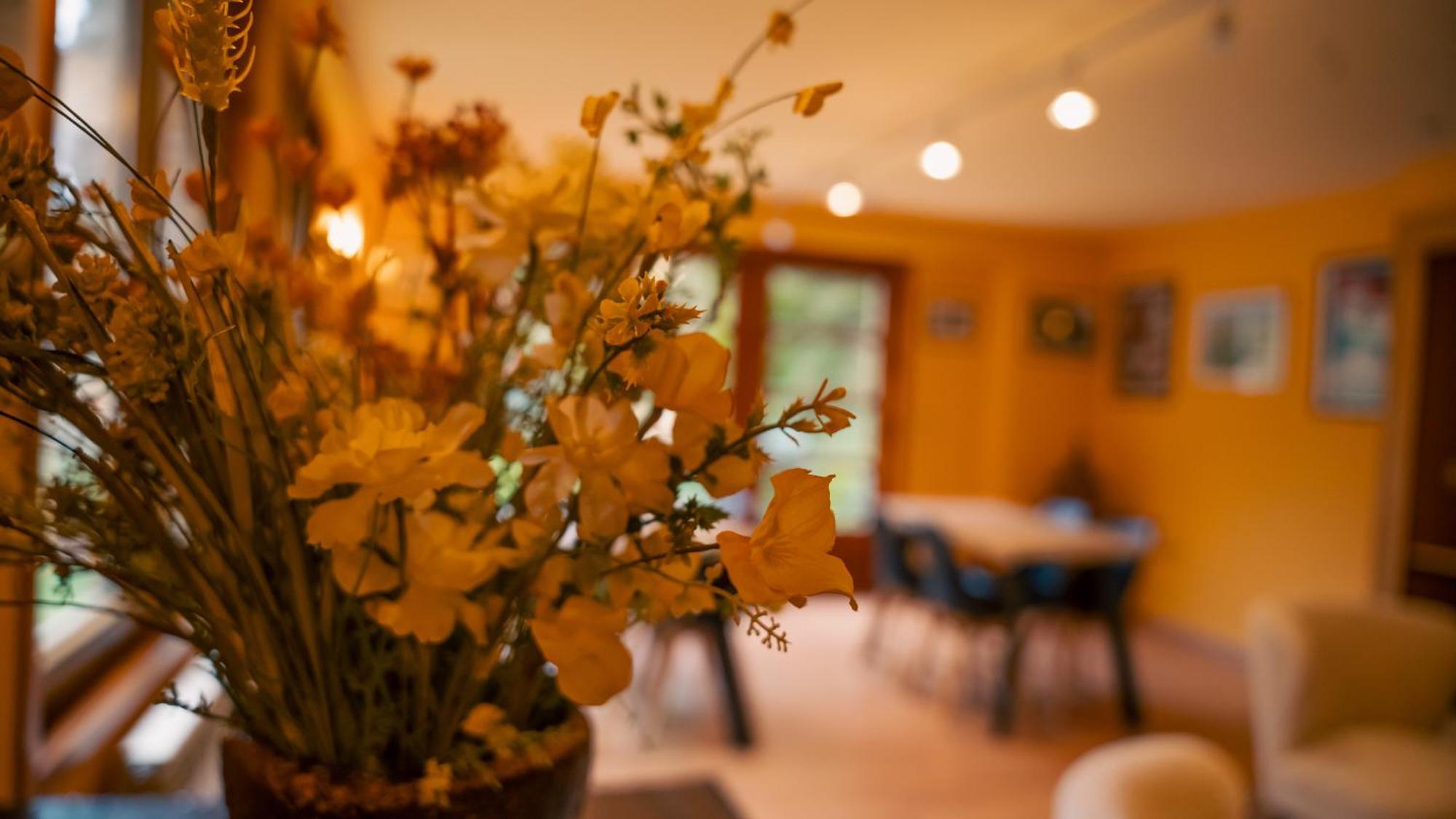 Apartaments La Neu Ордино Экстерьер фото